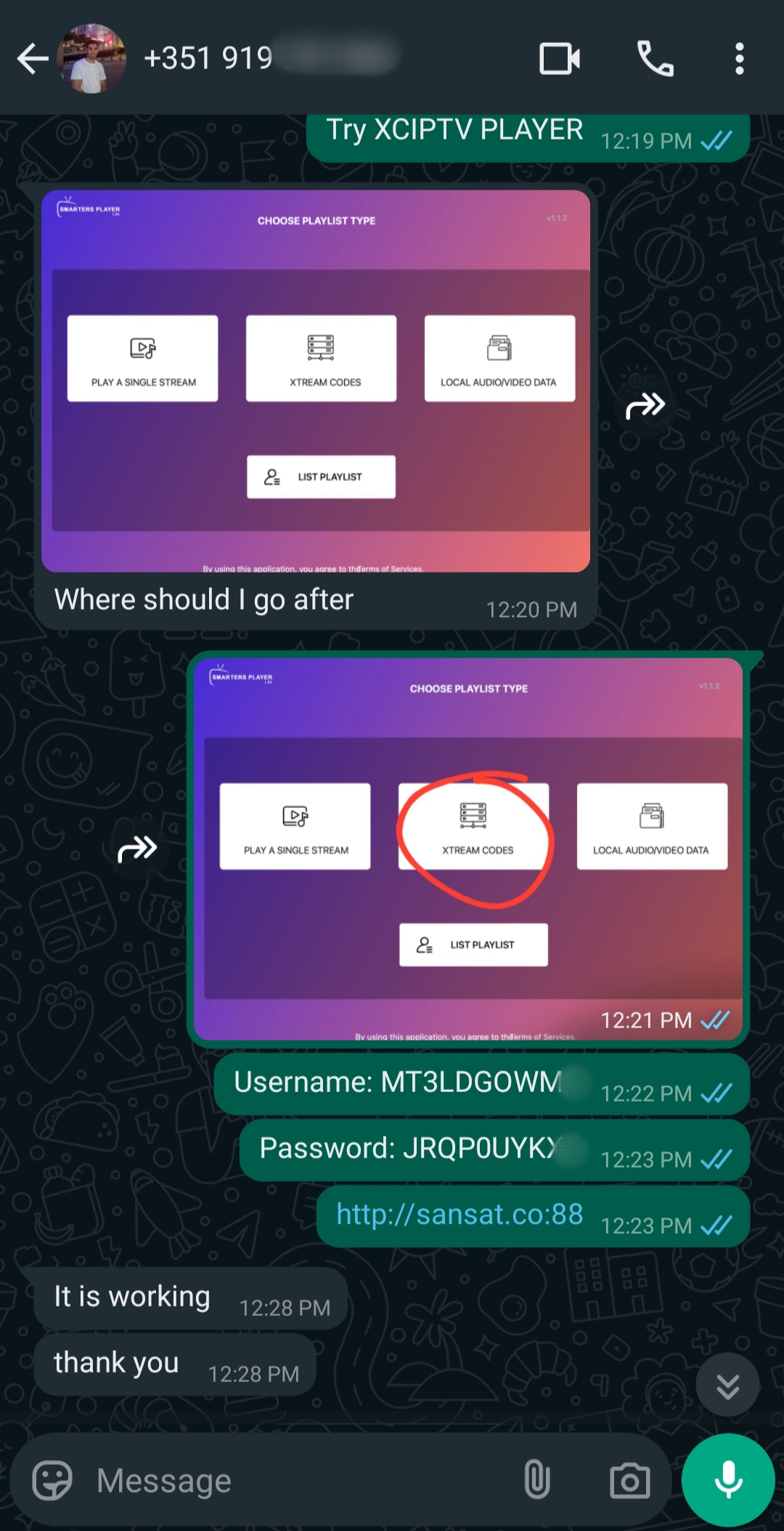 A WhatsApp chat shows instructions for setting up XCIPTV PLAYER with a playlist screen, login credentials, and a red circle highlighting the XTREAM CODES option. The conversation discusses IPTV BrasiL setup, as a user confirms everything is working and thanks the sender.