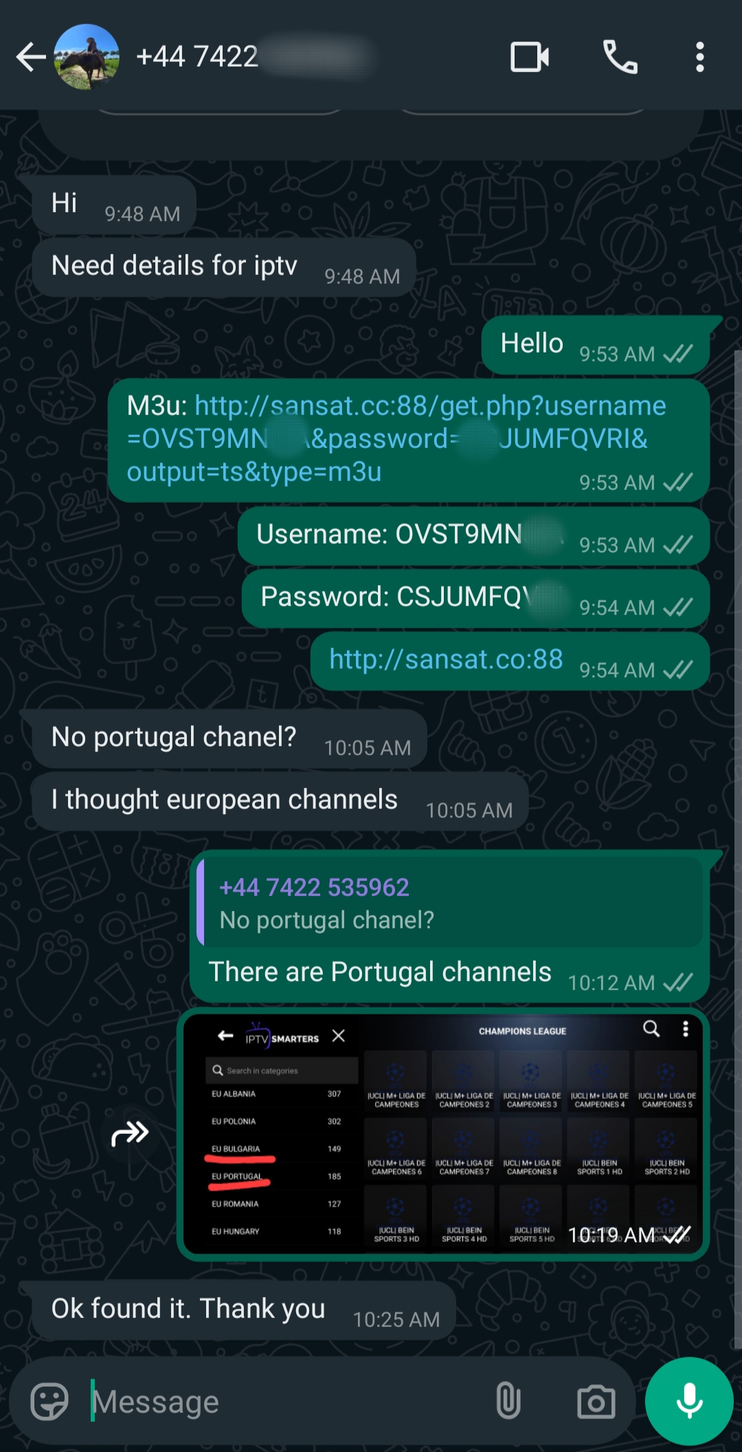 A WhatsApp chat discussing IPTV details, including a username, password, and server link. A screenshot of a TV channel list is shared, showing available Portugal channels as well as some Brasil IPTV options. The conversation is polite and helpful.